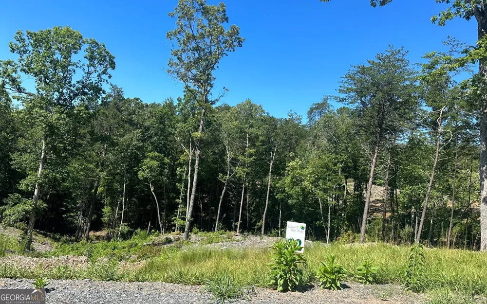 LT 12 Mountain Laurel RDG Mineral Bluff, GA 30559