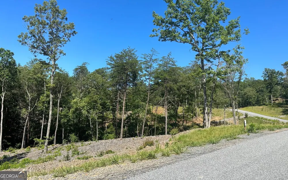LT 12 Mountain Laurel RDG Mineral Bluff, GA 30559