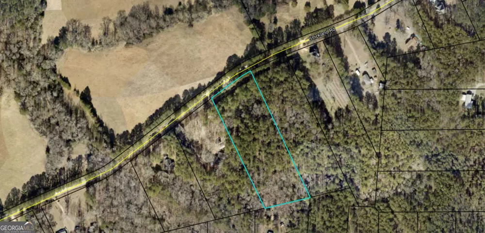 0 Strickland RD Concord, GA 30206