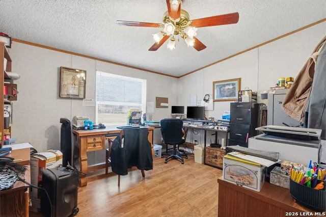 708 Mesquite Jourdanton, TX 78026