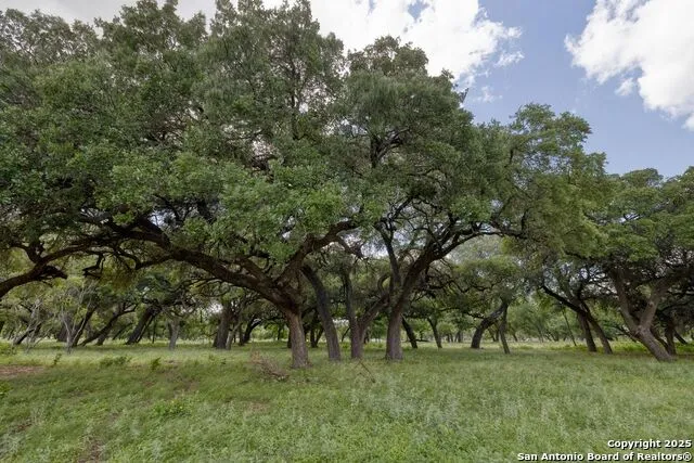 32378 State Hwy 55 Uvalde, TX 78801