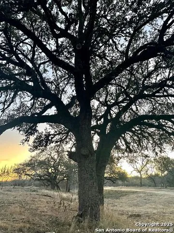 32378 State Hwy 55 Uvalde, TX 78801