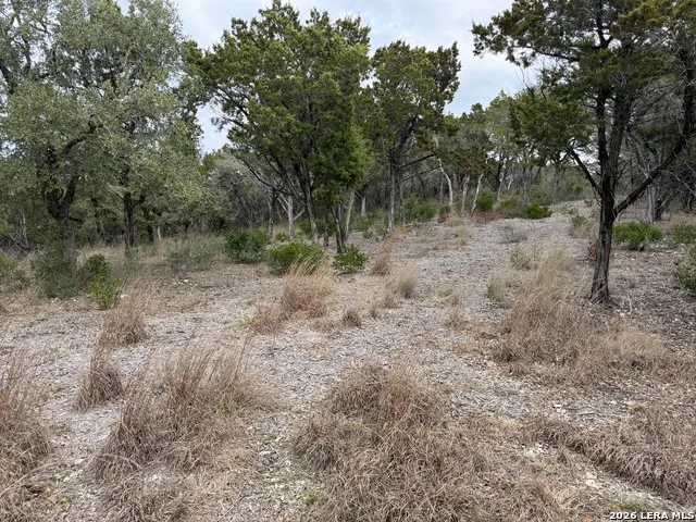 LOT 45 PR 2775 Mico, TX 78056