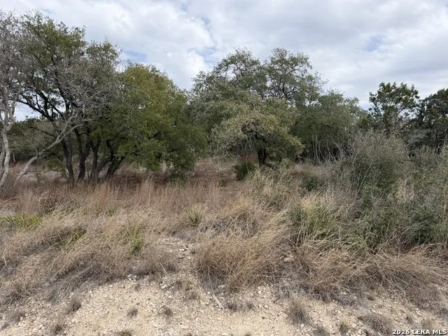 LOT 45 PR 2775 Mico, TX 78056
