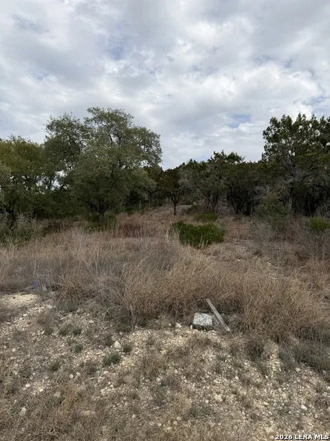 LOT 45 PR 2775 Mico, TX 78056