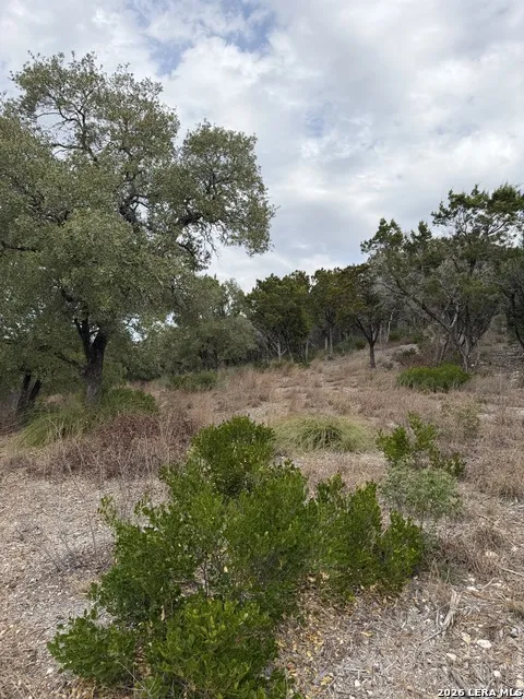 LOT 45 PR 2775 Mico, TX 78056