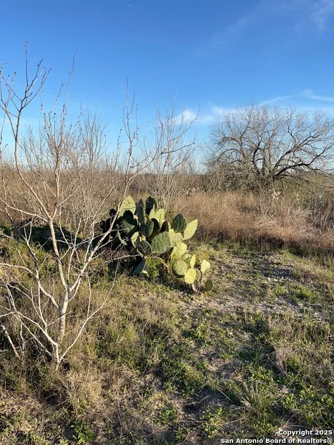 132 County Road 135 George West, TX 78022