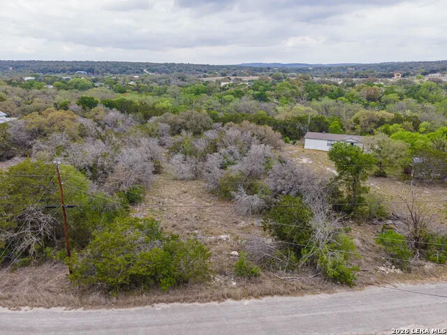 223 BLUFF VIEW DR Spring Branch, TX 78070