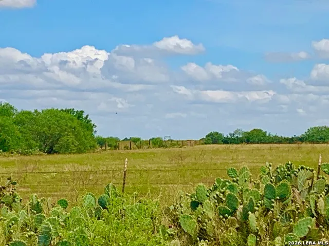 1152 A County Road 227 Falls City, TX 78113