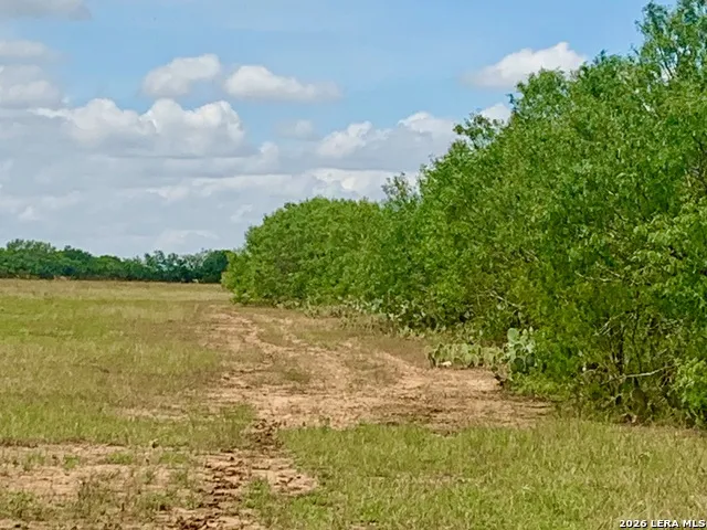 1152 A County Road 227 Falls City, TX 78113