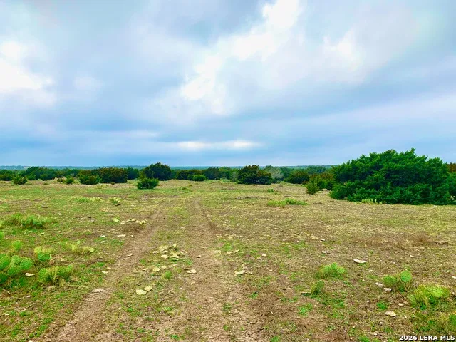 1152 A County Road 227 Falls City, TX 78113
