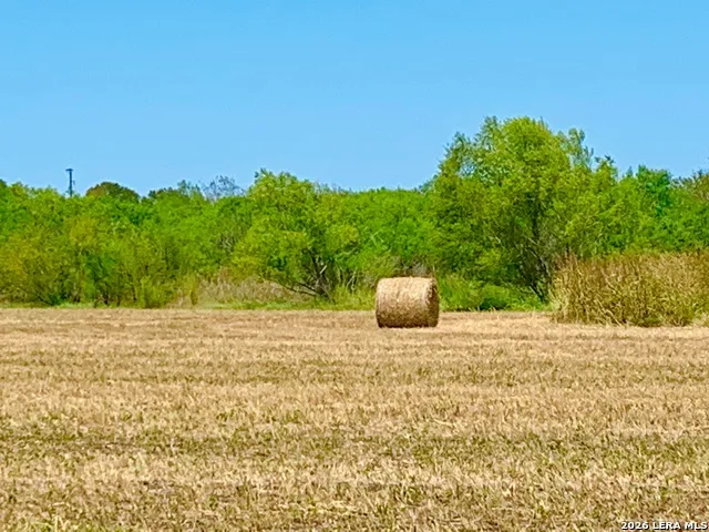 1152 A County Road 227 Falls City, TX 78113