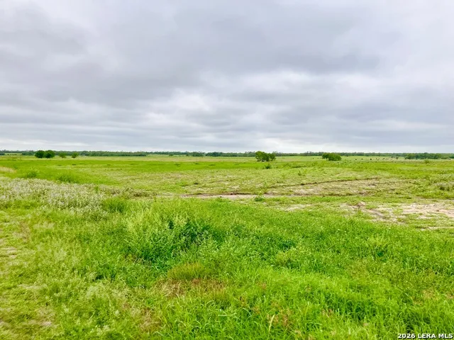 1152 A County Road 227 Falls City, TX 78113