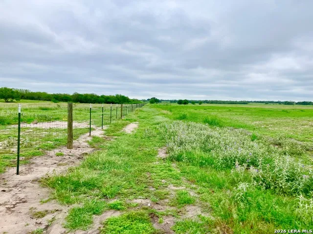 1152 A County Road 227 Falls City, TX 78113