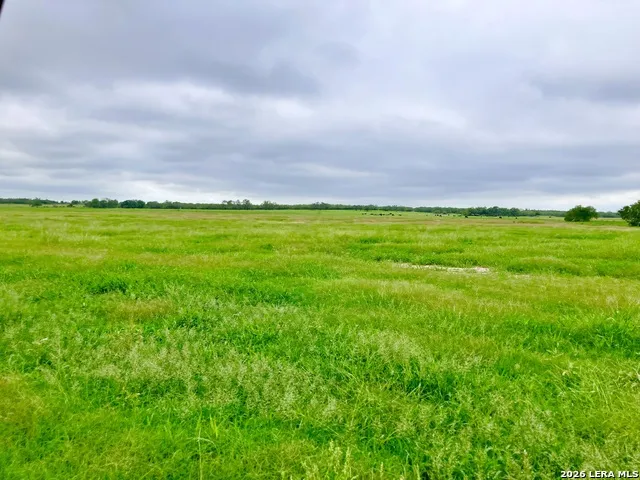 1152 A County Road 227 Falls City, TX 78113