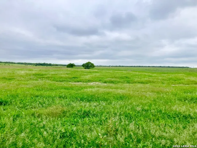 1152 A County Road 227 Falls City, TX 78113