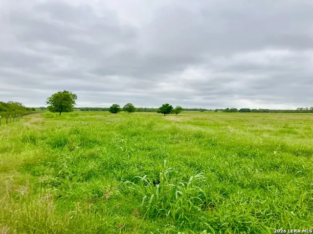 1152 A County Road 227 Falls City, TX 78113