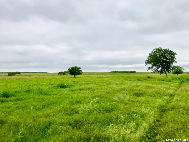 1152 A County Road 227 Falls City, TX 78113