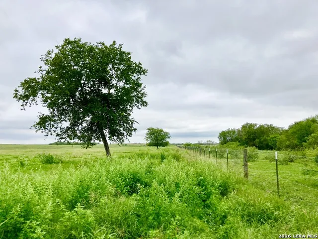 1152 A County Road 227 Falls City, TX 78113