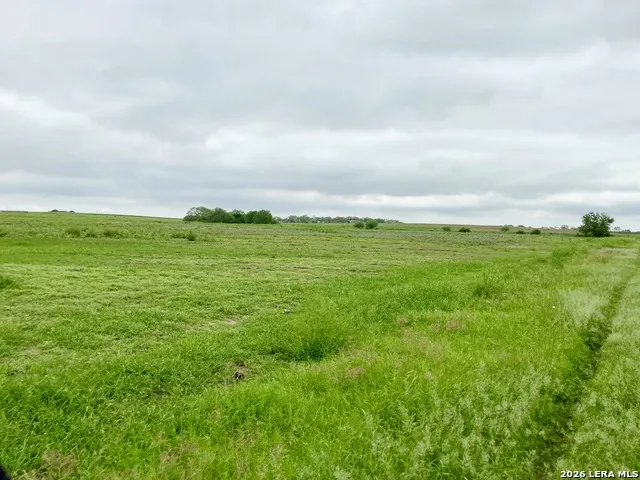 1152 A County Road 227 Falls City, TX 78113