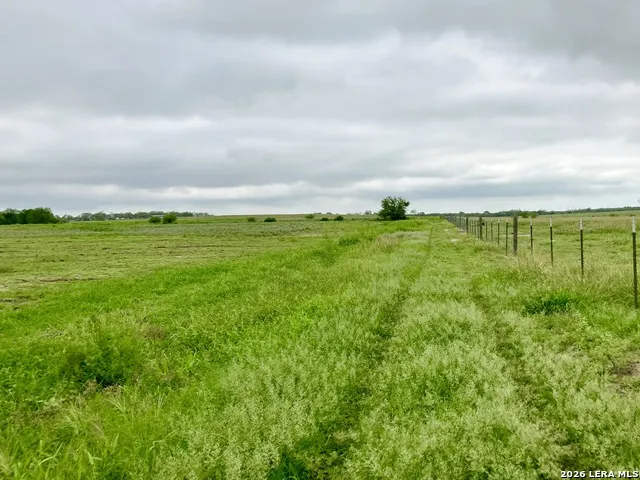 1152 A County Road 227 Falls City, TX 78113