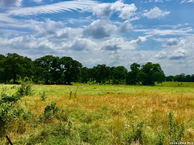 1152 A County Road 227 Falls City, TX 78113