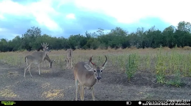 1121 County Road 481 Alice, TX 78332