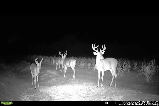 1121 County Road 481 Alice, TX 78332