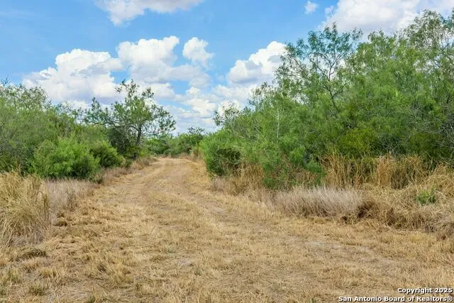 1121 County Road 481 Alice, TX 78332