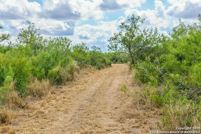 1121 County Road 481 Alice, TX 78332