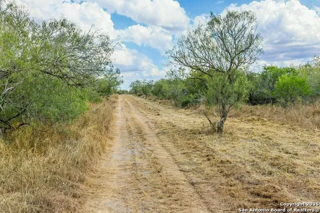 1121 County Road 481 Alice, TX 78332