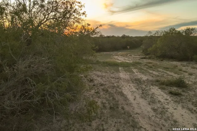1305 FM 799 George West, TX 78022