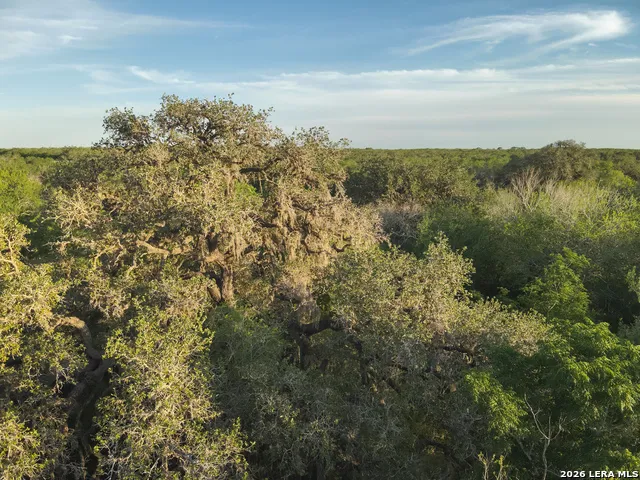 1305 FM 799 George West, TX 78022