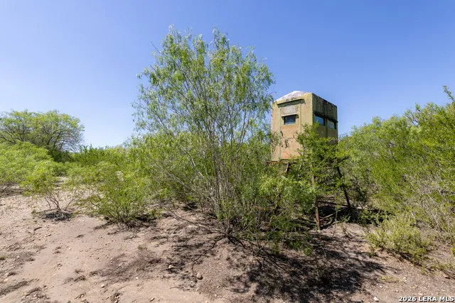 1305 FM 799 George West, TX 78022