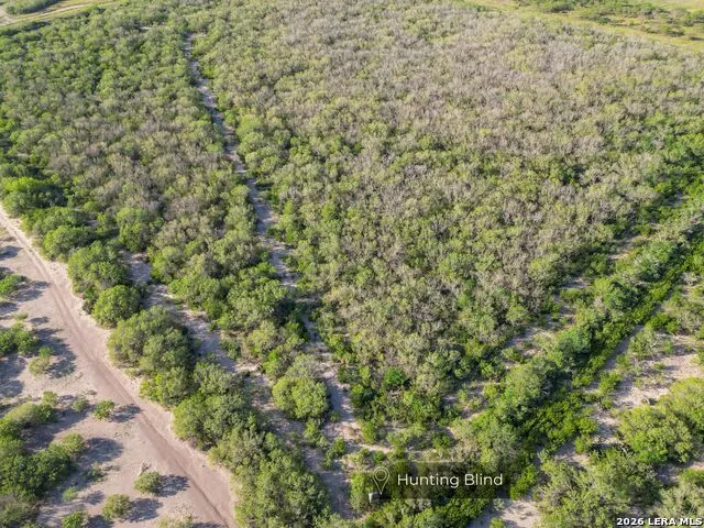 1305 FM 799 George West, TX 78022