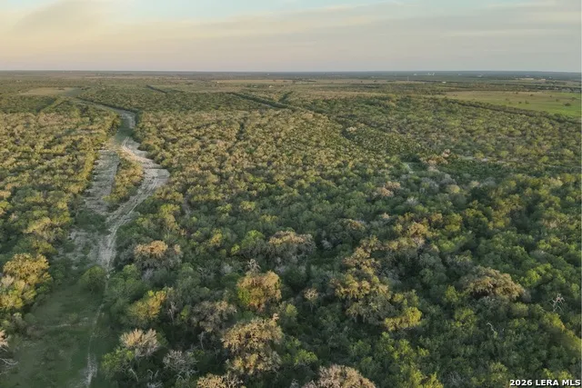 1305 FM 799 George West, TX 78022