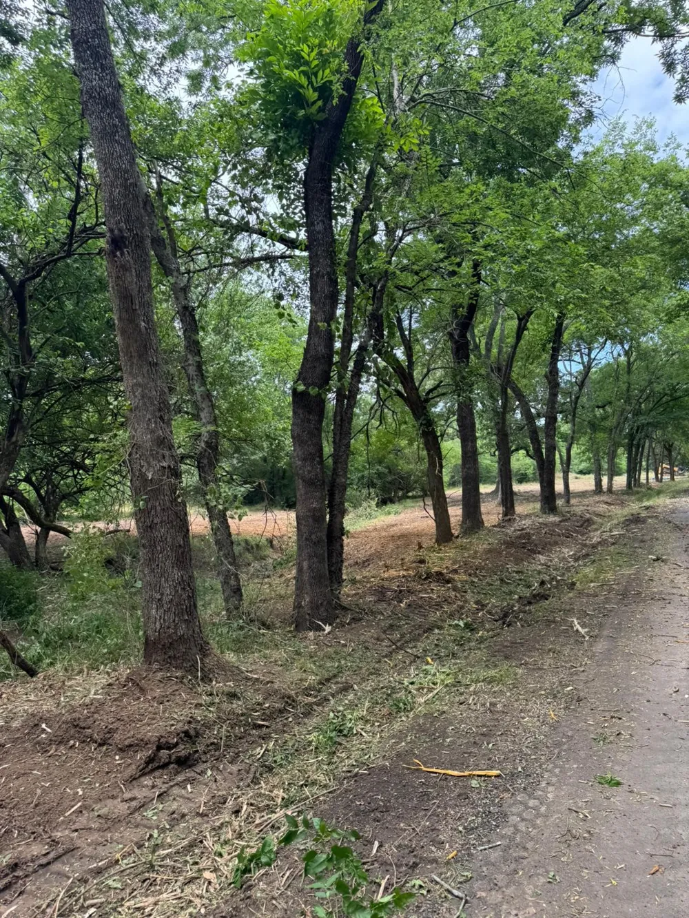 County Road 3562 Dike, TX 75437