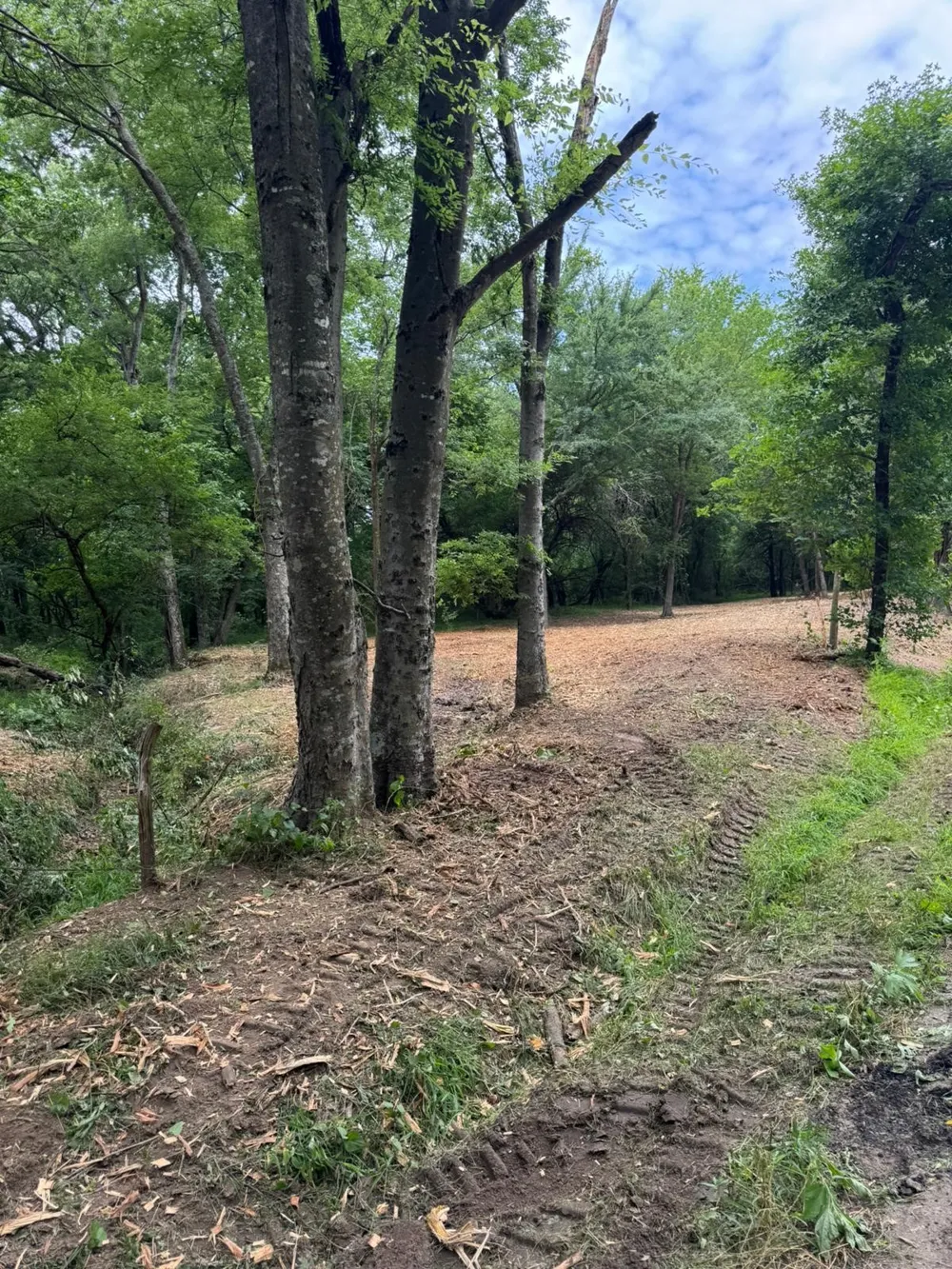 County Road 3562 Dike, TX 75437