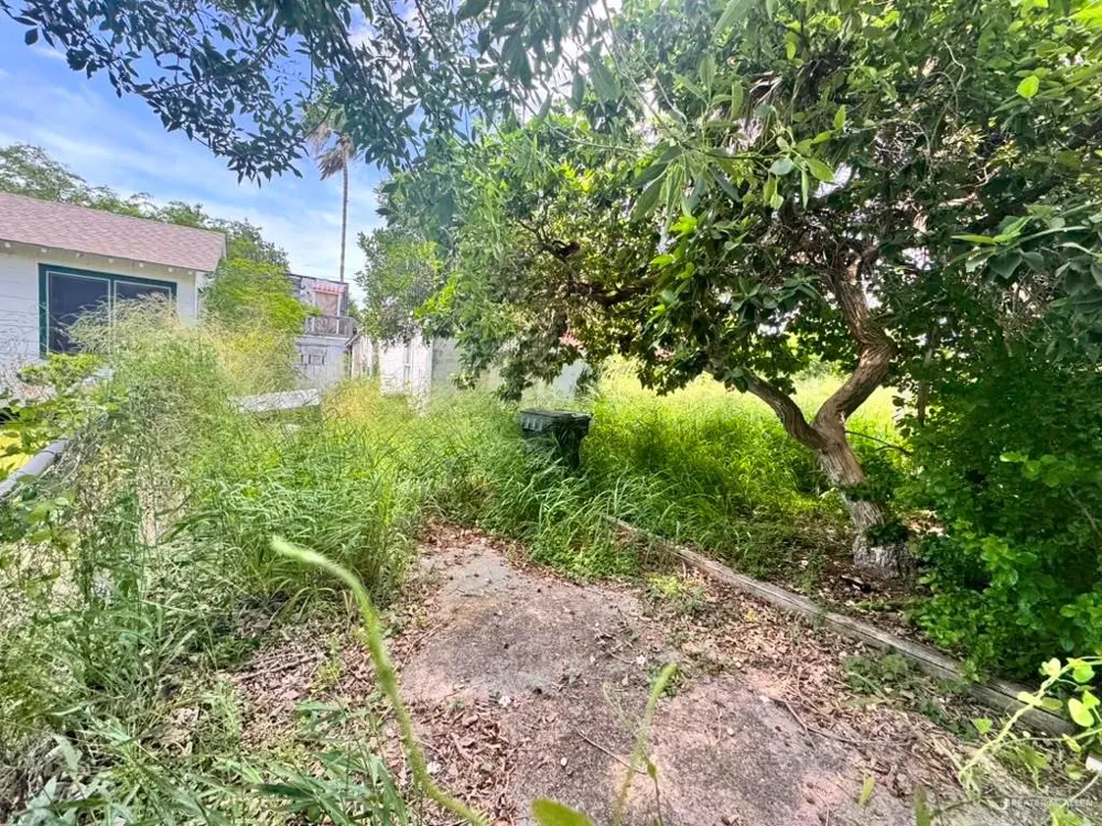 312 W Jessamine Avenue La Feria, TX 78559
