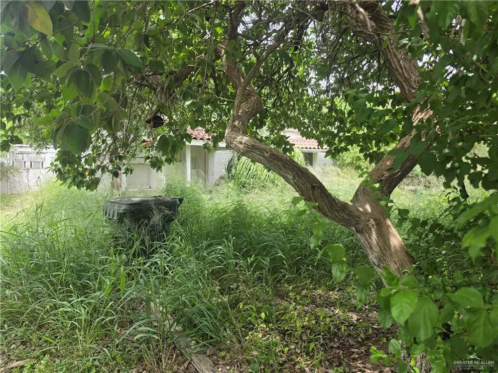 312 W Jessamine Avenue La Feria, TX 78559