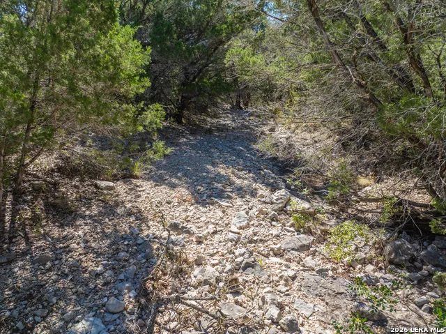 LOT 85 New Leona Ranch Brackettville, TX 78832