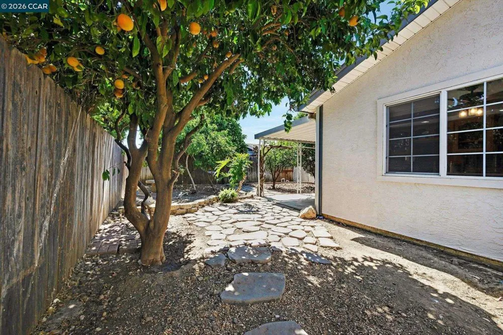 552 Redwood Dr Vacaville, CA 95687