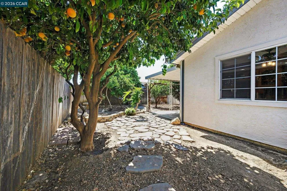 552 Redwood Dr Vacaville, CA 95687