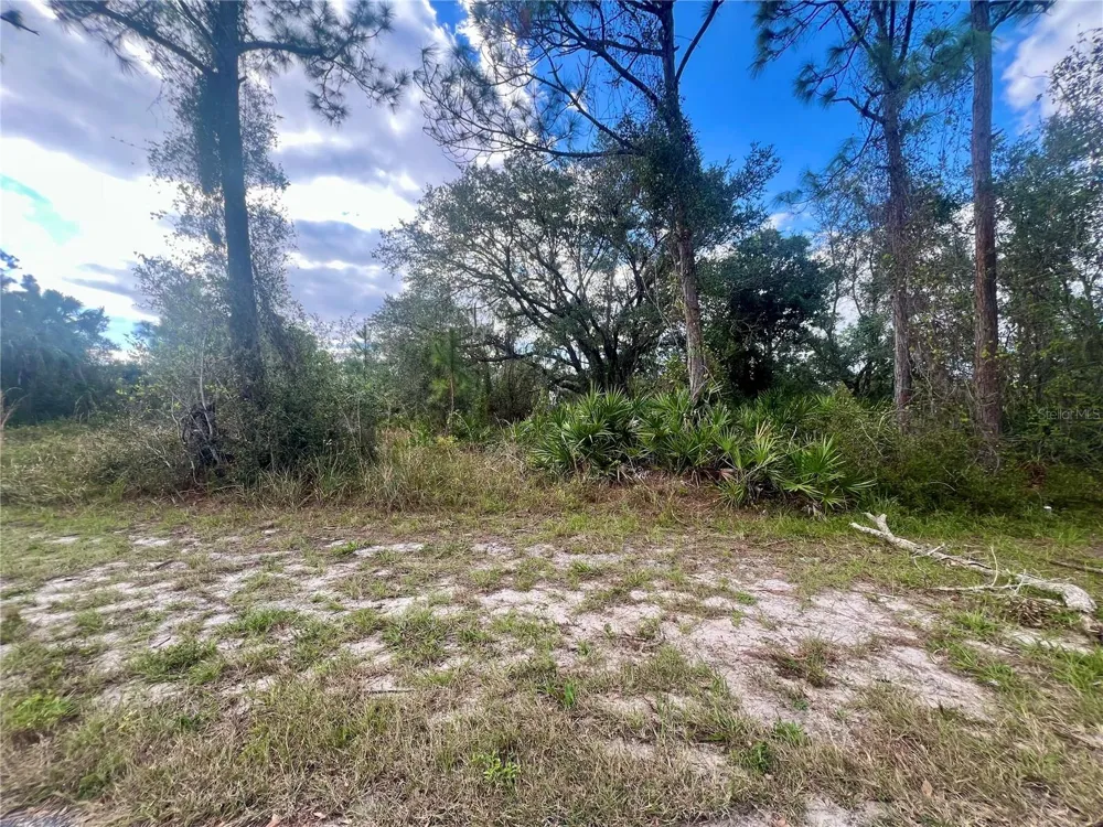 95 HARVEY STREET Port Charlotte, FL 33954