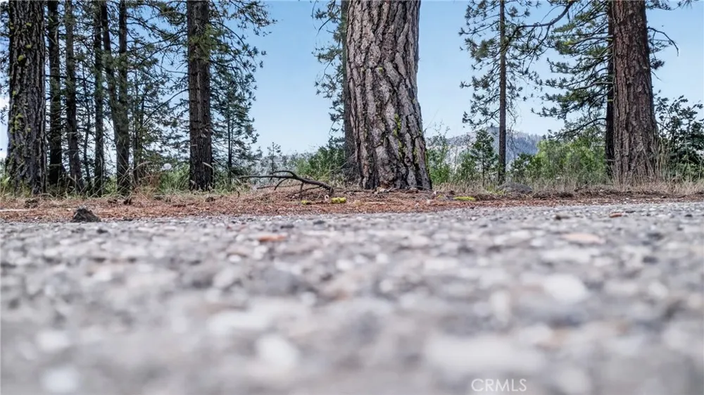2500 Round Valley Road Greenville, CA 95947