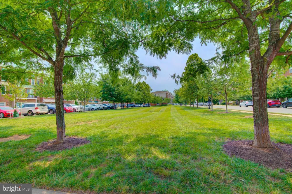 42262 KNOTTY OAK TERRACE Brambleton, VA 20148