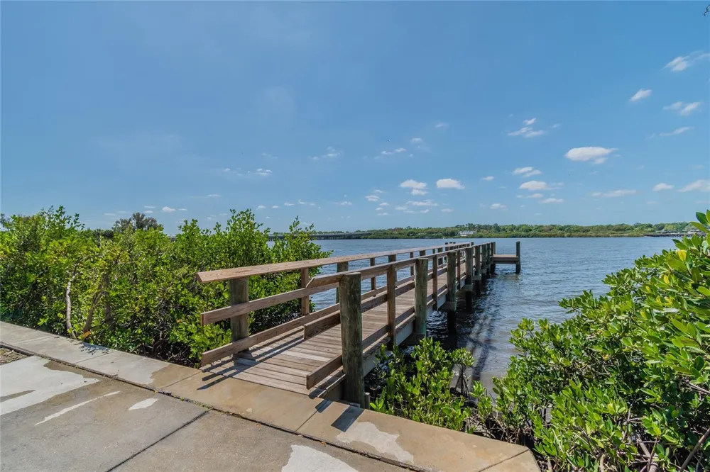 2410 ARCH AVENUE Oldsmar, FL 34677