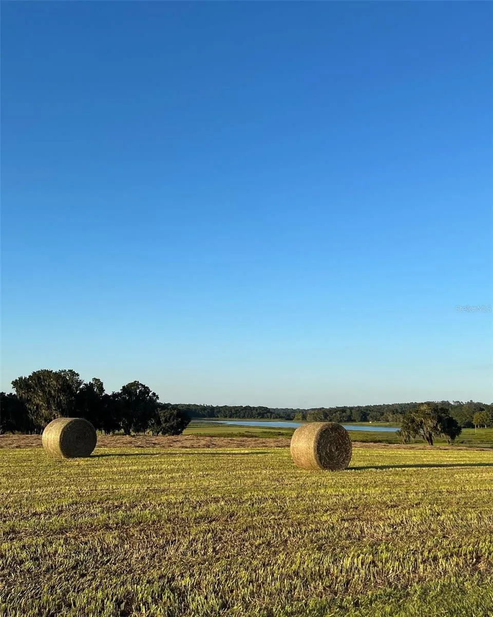 COVINGTON ROAD Dade City, FL 33525