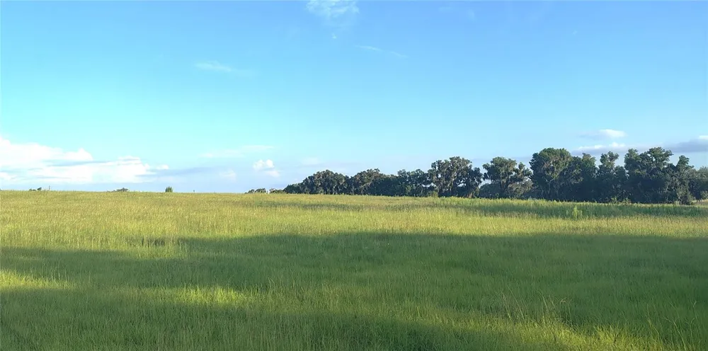 COVINGTON ROAD Dade City, FL 33525