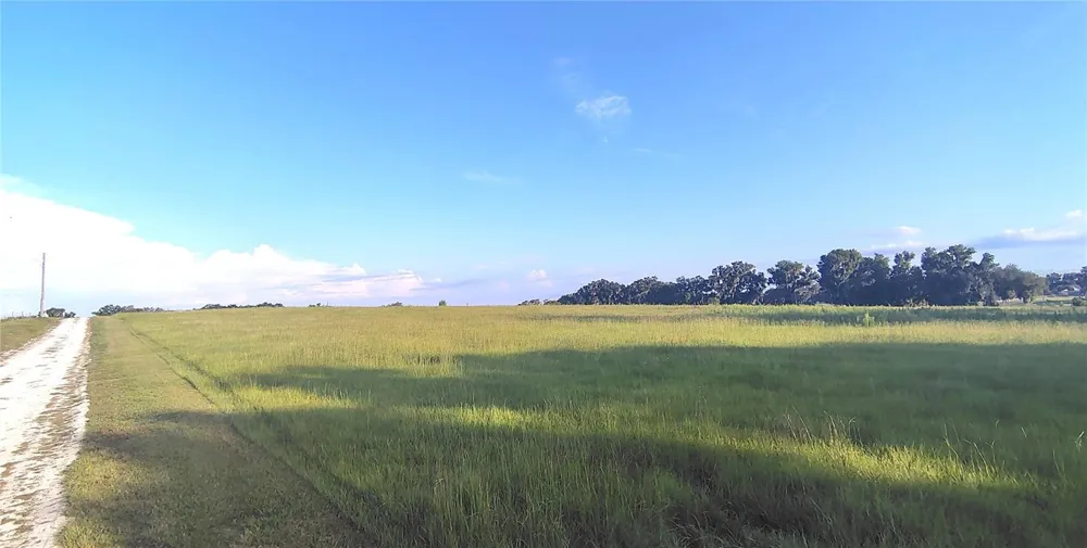 COVINGTON ROAD Dade City, FL 33525